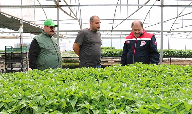 Bölgenin fidesi Erzincan'dan