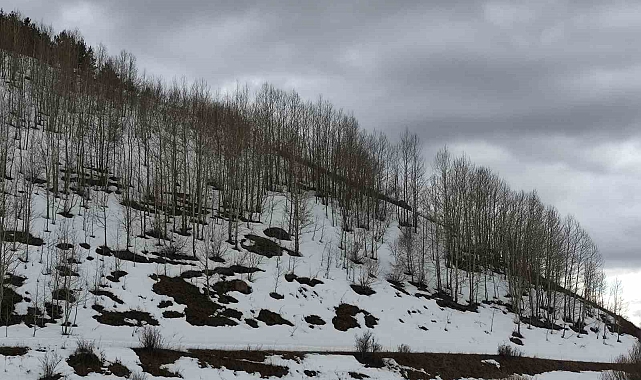 Bu İlde iki mevsim bir arada; bahar ve kış