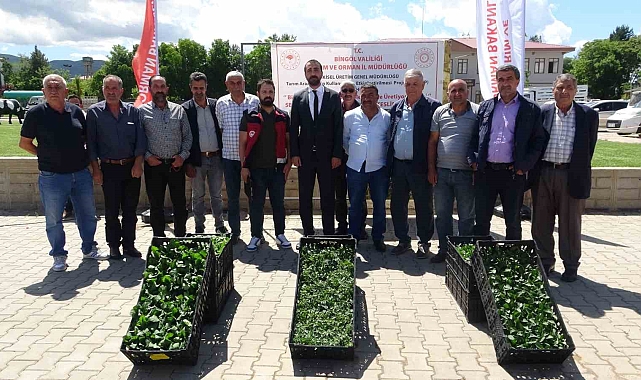 Çiftçilere 390 Bin Sebze Fidesi Dağıtıldı
