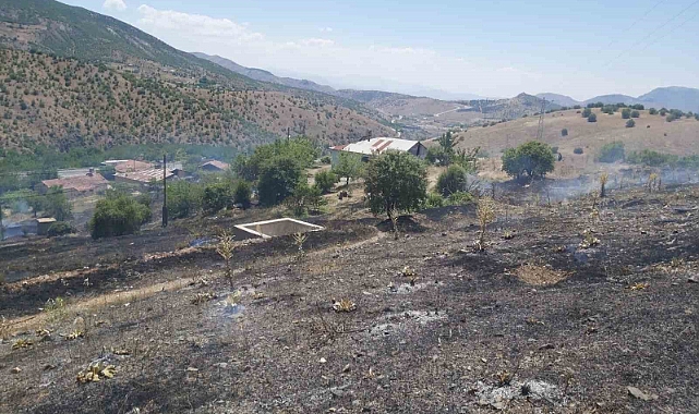 Elazığ’da ot yangını