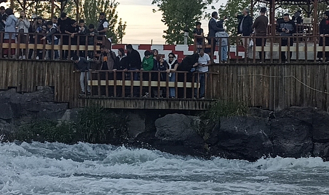 Erciş'te İnci kefalinin zorlu göçü başladı