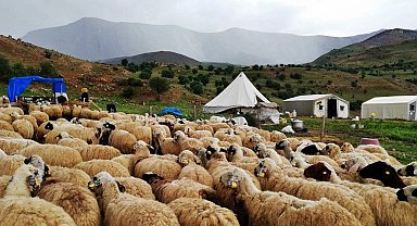 Erzincan Tulum peyniri üreticileri dışarıdan getirilen peynirlerden muzdarip