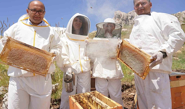 Erzincan'da 100 bin üzeri kolonide 1 milyon kilogram bal üretiliyor
