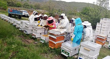 Erzincan'da "Kadın Eli İle Arı Sütü" Projesi