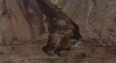 Erzincan'ın İliç'te boş alanda toprak kayması meydana geldi