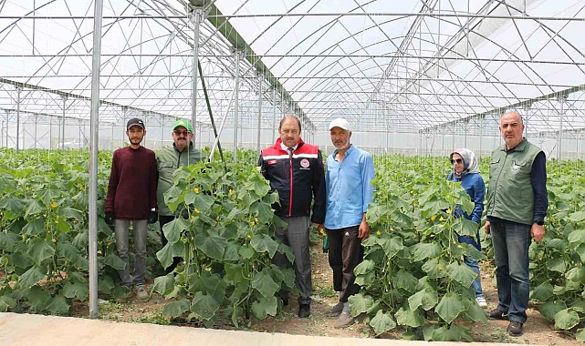 Erzincanlı genç çiftçinin hasat sevinci