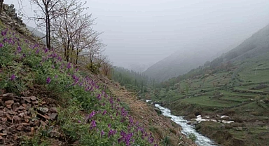 Erzurum'un İspir ilçesinde mayıs ayında kar yağdı