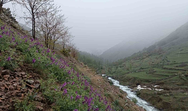 Erzurum'un İspir ilçesinde mayıs ayında kar yağdı