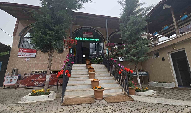 Görenleri yolundan ediyor: Görüntüsüyle çiçek bahçesini andırıyor