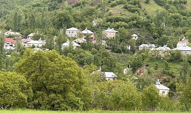 Hakkari bitki örtüsü ve doğasıyla Karadeniz'i aratmıyor