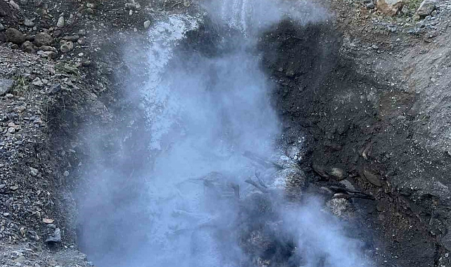 Hakkari'de kazada telef olan hayvanlar gömüldü