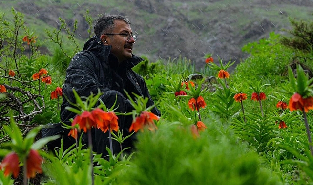 Hakkari Valisi Ali Çelik ters laleleri inceledi