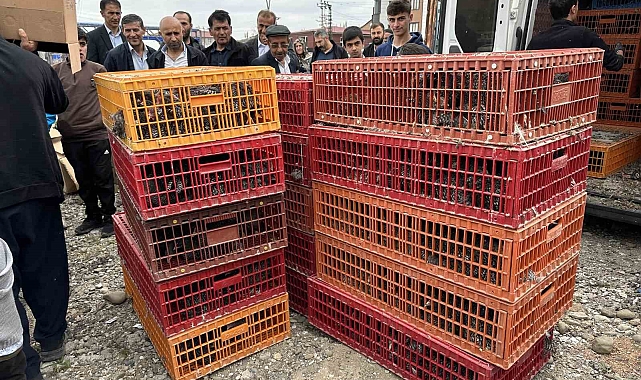 Hakkari'de kartonunu alan tavuk ve horoz almaya koştu