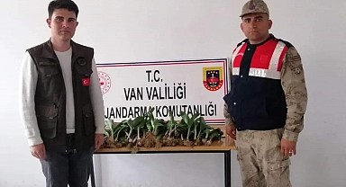 İran uyruklu 2 kişiye, 774 bin 282 TL idari para cezası verildi