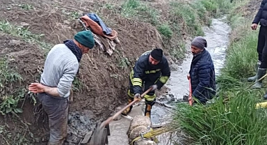İtfaiye Sulama Kanalına Düşen Koyunu Kurtarsı