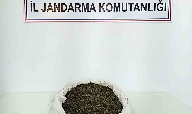 Jandarma Bingöl'de 3 kilo 650 gram uyuşturucu madde ele geçirildi