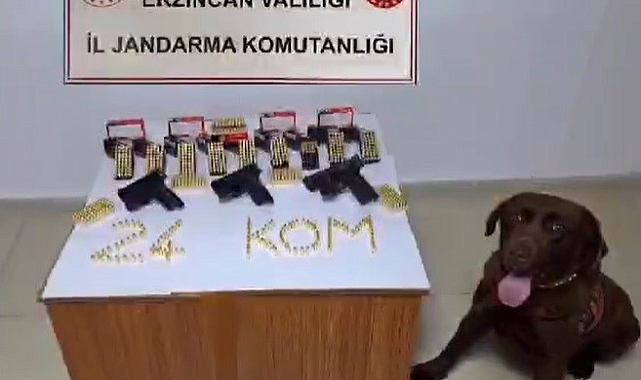 Jandarma Erzincan'da silah kaçakçısı 1 kişi yakalandı