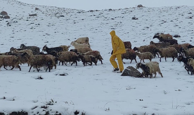 Kar Yağışı Koyunların Ağıllara Dönmesine Neden Oldu