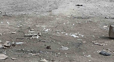 Kavak polenler hayatı olumsuz etkiliyor