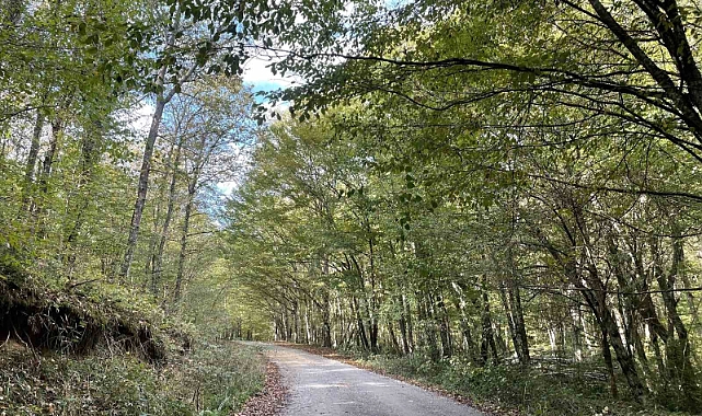 Kırklareli’nde ormanlara giriş 177 gün süreyle yasaklandı