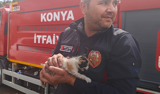 Konya’da otomobilin motoruna sıkışan kedi kurtarıldı