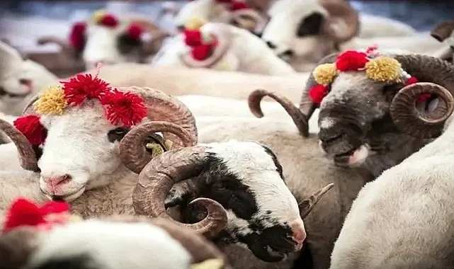 Kurban Bayramı Emekli İkramiyeleri Ne Zaman Yatacak? 2024 Ödeme Tarihleri ve Detayları
