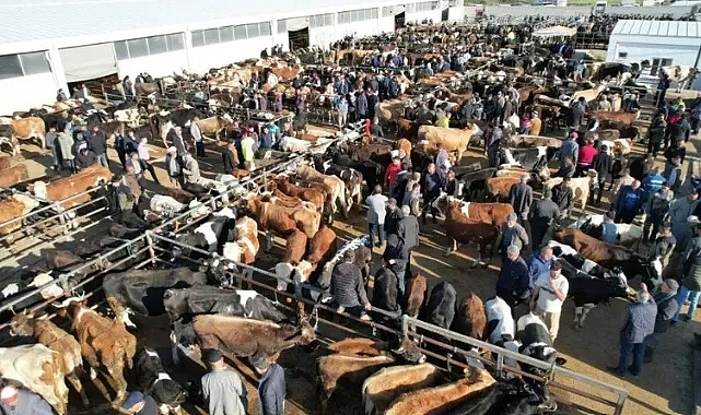 Kurban keseceklere derin uyarı! Kurallara uymayanlara ceza kesilecek