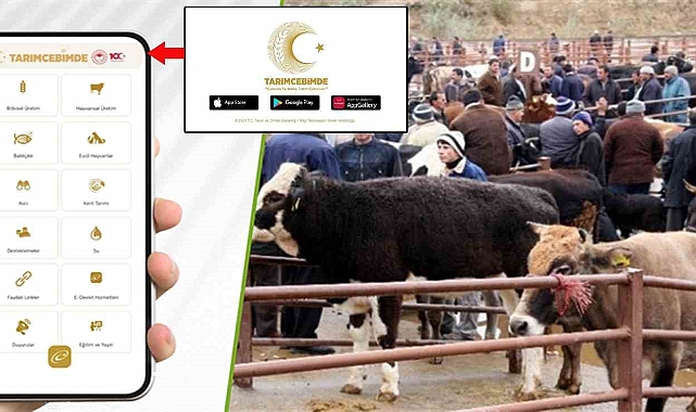 Kurbanlık hayvanlarda mobil sorgulama dönemi