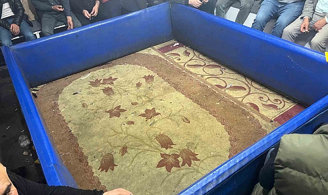 Malatya'da horoz dövüştürenlere rekor ceza