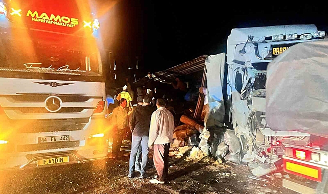 Malatya'da yem yüklü tır devrildi