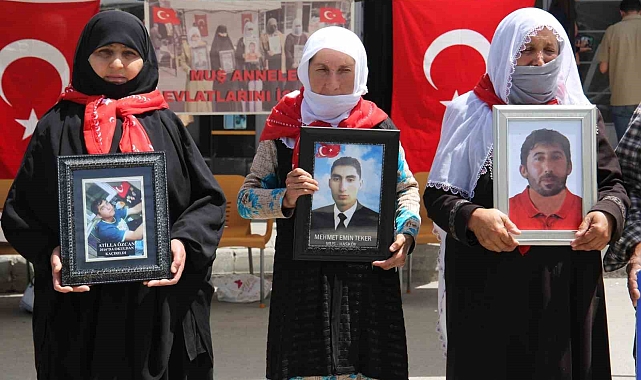 Muş'ta evlat nöbeti devam ediyor