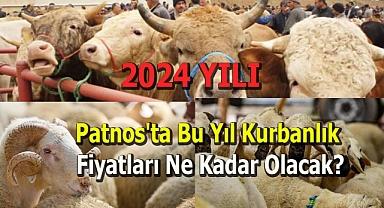 Patnos'ta Bu yıl kurbanlık fiyatları ne kadar olacak?
