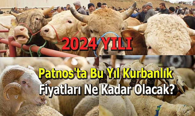 Patnos'ta Bu yıl kurbanlık fiyatları ne kadar olacak?