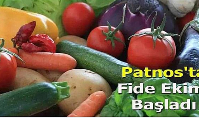 Patnos'ta Fide Ekimi Başladı