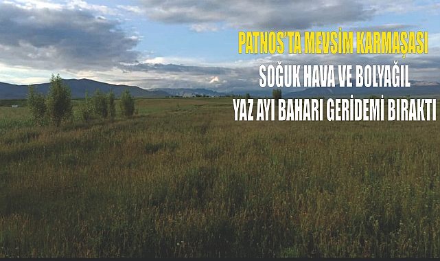 Patnos'ta Mevsim Karmaşası: Soğuk Hava ve Bol Yağış Yaz Ayı Baharı Geridemi Bıraktı?