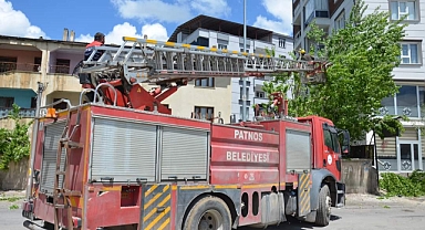 Patnos'ta Polen Salınımı Başladı: Kavak Ağaçları Kesiliyor!