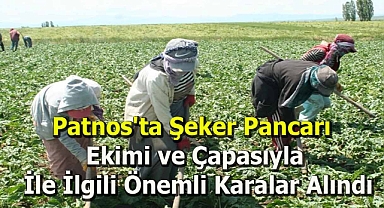 Patnos'ta Şeker Pancarı Ekimi ve Çapası İle İlgili Önemli Karalar Alındı