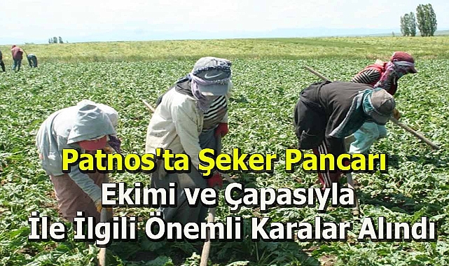 Patnos'ta Şeker Pancarı Ekimi ve Çapası İle İlgili Önemli Karalar Alındı