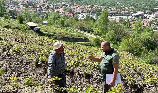Sahayı adım adım dolaşıyorlar