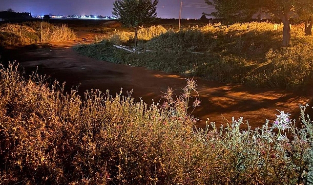 Şanlıurfa'da bir mahalleyi sel bastı