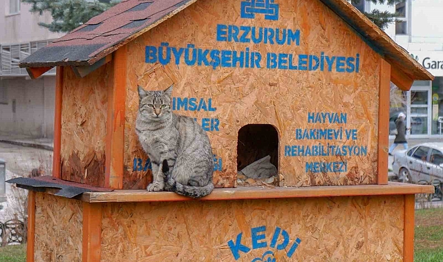 Sekmen; "Her can bize emanet"