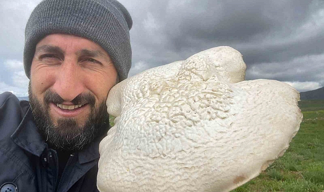 Solhan’da 2 kilogramlık mantar bulundu