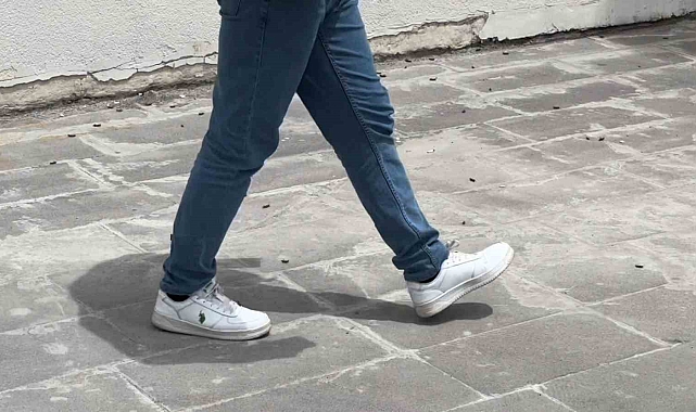 Tatvan'da çekirgeler şehir merkezini istila etti