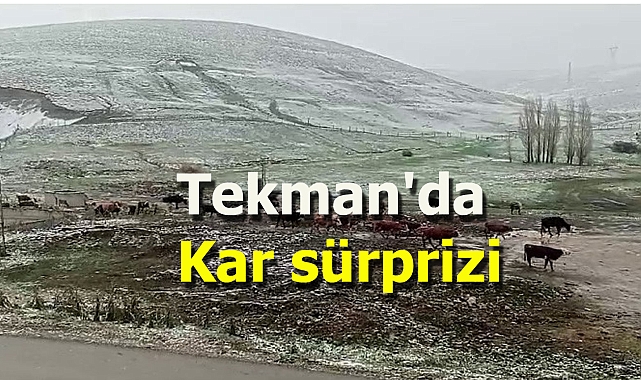 Tekman'da kar sürprizi
