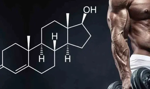Testosteron nedir? Testosteron seviyemizi nasıl koruruz?