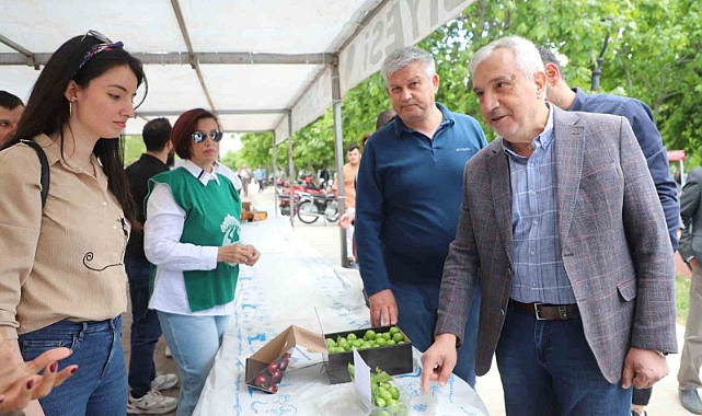 Turgutlu’da en güzel Dumanlı Papaz Eriği yarışması düzenlendi
