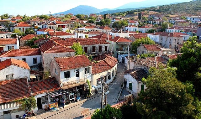 Türkiye İl İlçe Mahalle ve Köy Sayıları (2024)