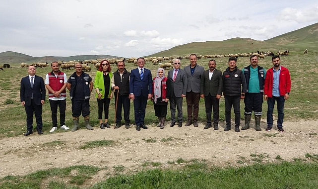 Vali Koyun ve Kuzuların Birleşme Anını Gözlemledi