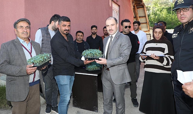 Van Başkale'de İlçe Tarım Domates Fidesi Dağıtıldı