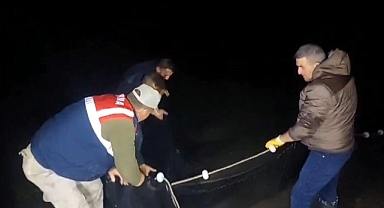 İnci kefali av yasağı uymayanlara ağır para cezaları veriliyor